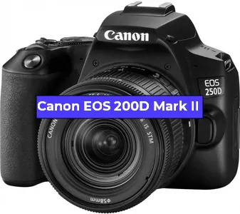 Замена матрицы на фотоаппарате Canon EOS 200D Mark II в Санкт-Петербурге